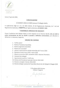 convocazioned assemblea